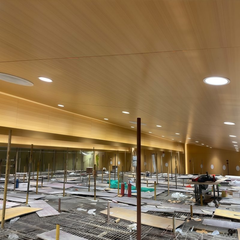 Aluminum panel ceiling (6)