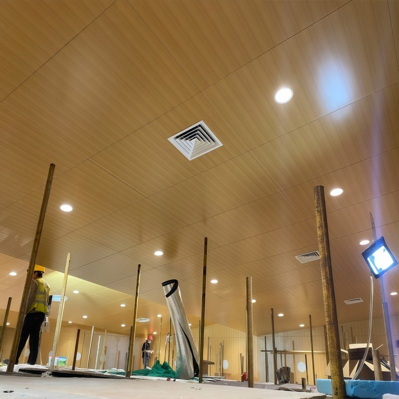 Aluminum panel ceiling (9)